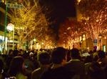 20101205-04.jpg